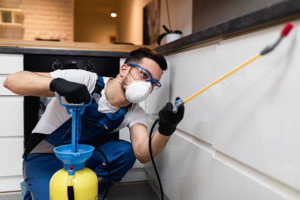 Best Pest Inspection Near Me  in Mcallen, TX