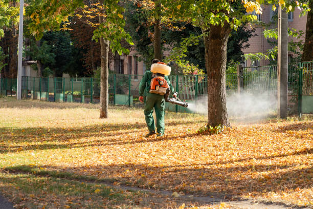 Best Rodent Control Near Me  in Mcallen, TX