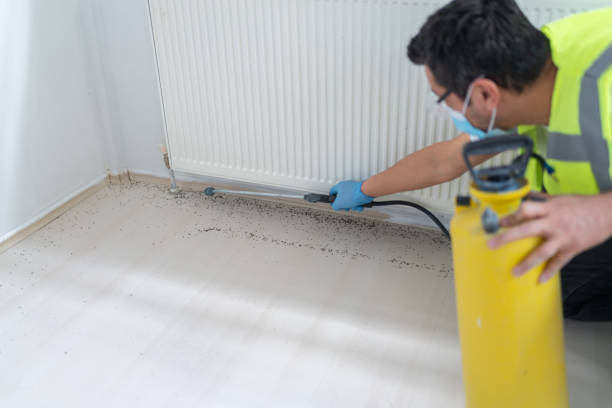 Best Pest Removal Services  in Mcallen, TX